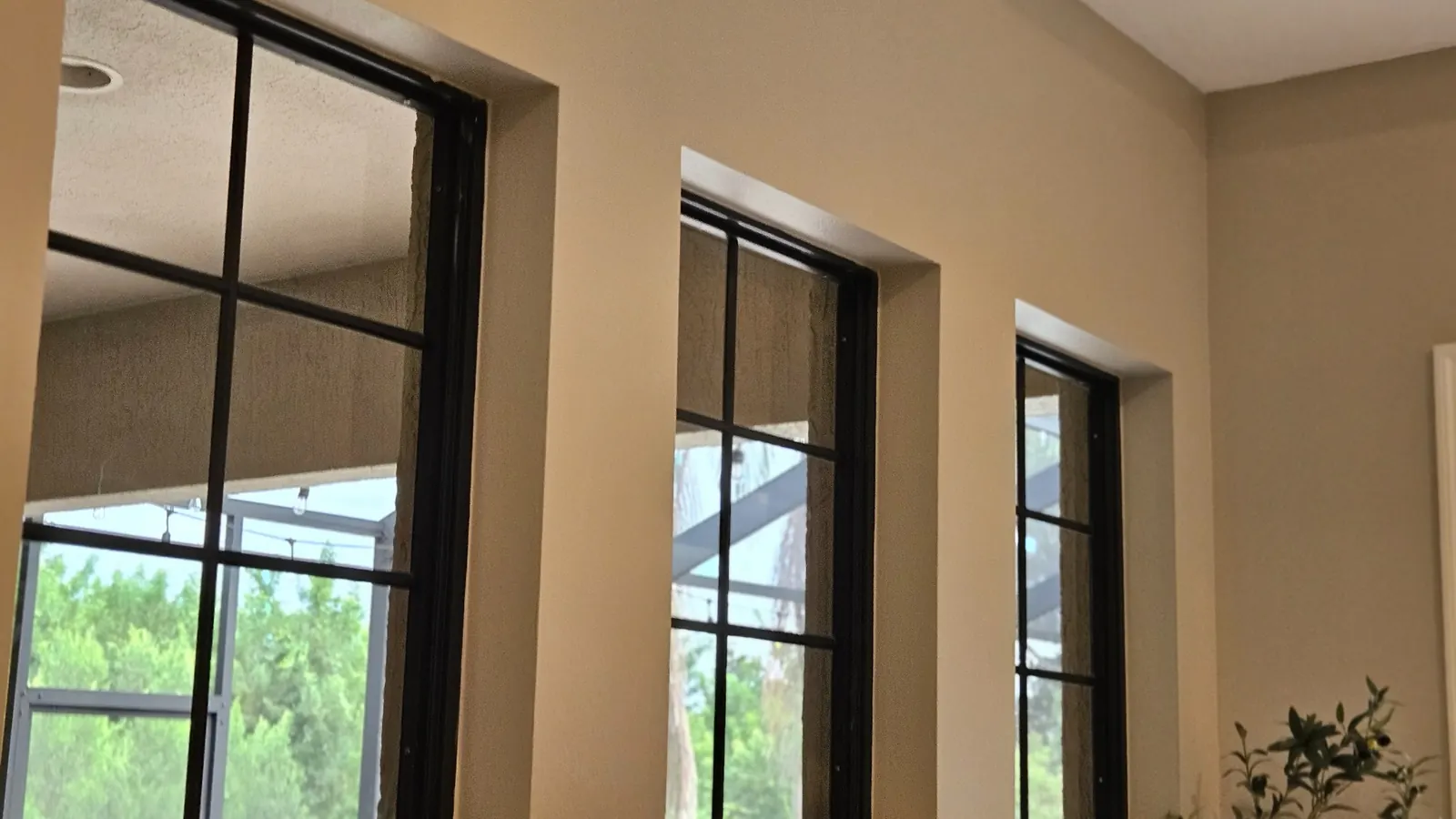 Commercial window cleaning Sarasota